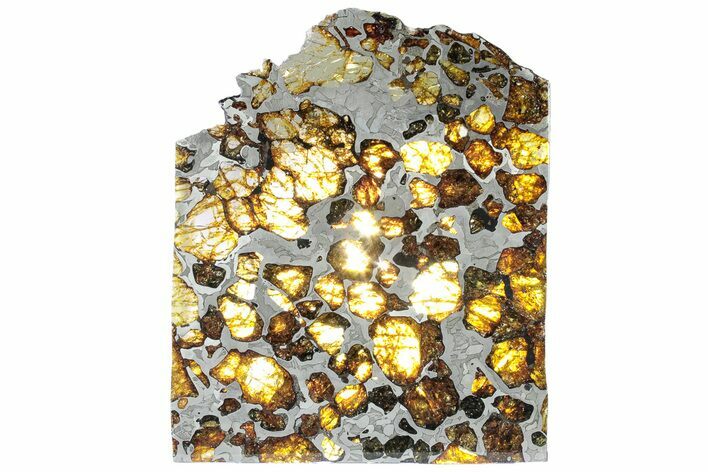 Polished Imilac Pallasite Meteorite ( g) Slice #309044